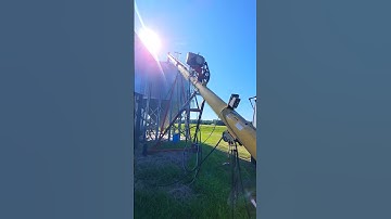 Unloading Corn From Hopperbottom To Grain Bins! #shorts