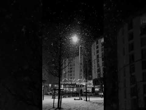 الاهتمام يخلق من الحب حبا أخر حالات وتساب حب وغرام وعشق