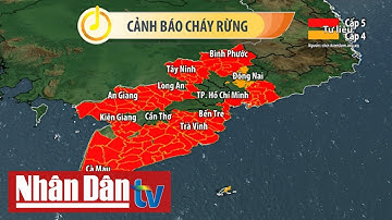 19 tỉnh Nam Bộ cảnh báo nguy cơ cháy rừng cấp đặc biệt nguy hiểm