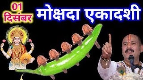 01 दिसंबर मोक्षदा एकादशी व्रत को 5 लौंग और एक हरी मिर्च वाला उपाय जरूर करे| pandit mishra ji