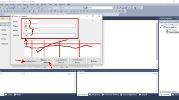Tutorial Desain dan Simpan Data dalam ListView Visual Vasic 2010