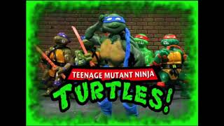 Tmnt Robot chicken