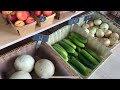 “vegetable stand” IDEAS