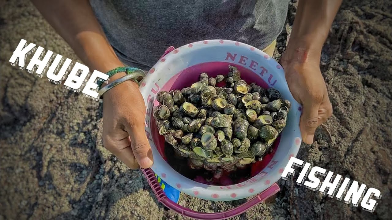 Khube (clams) fishing seafood Madh Island onespotburners YouTube