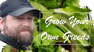 The EASIEST Garden Vegetables To Grow | Grow Your Own Salad Greens In A Small Space