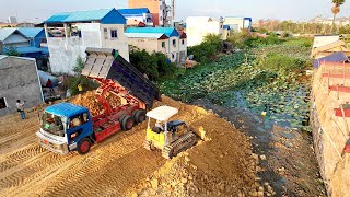 Part 3| Wonderfully The Bulldozer Pour the Soil and Push the Stone into water With Dump truck