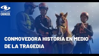 La historia detrás del rescate del caballo Caramelo