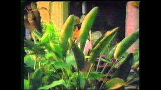 Sherlock Holmes-The Master Blackmailer Part 4