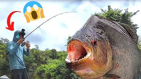 Je pêche un Banc de PIRANHAS NOIRS! ⚠️