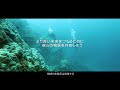 Save the BEYOND_MARINEムービー Short_CITIZEN PROMASTER | History Channel