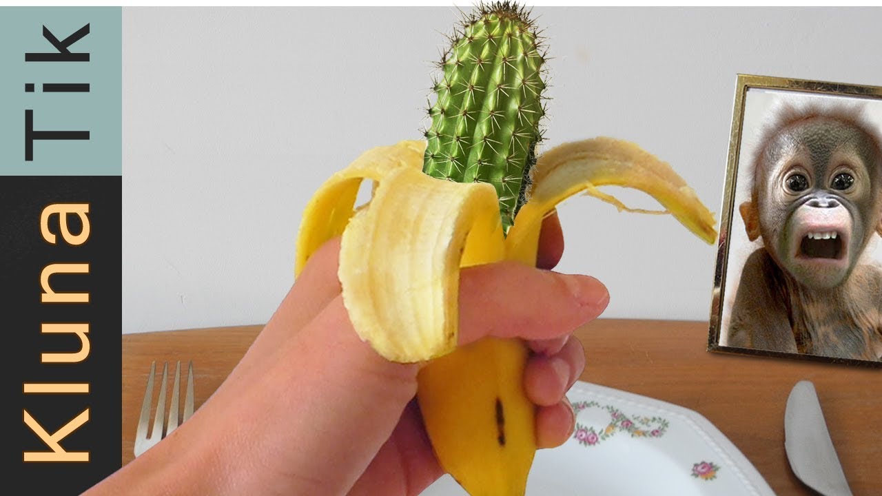 EATING BANANA CACTUS!! Kluna Tik | ASMR eating sounds no talk, eating gmo,  comiendo comida gmo