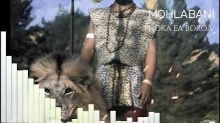 PHOKA EA BOROA : MOHLABANI VISUALIZER