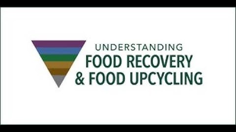 Understanding Food Recovery and Food Upcycling