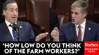 Jamie Raskin Calls The 'Stop Illegal Entry Act' A 'Distraction'—Then Brad Knott Responds