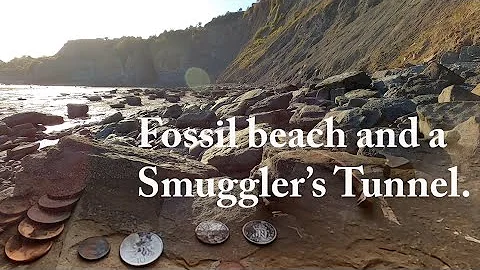 Silver and Fossils, in Robin Hood's Bay. Fossil hu...