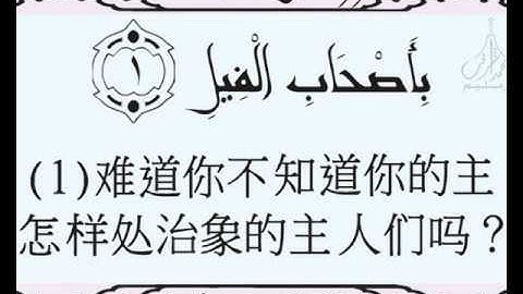 105 Surah Al Fil  سورة الفيل象章 القرءان القريم بالغة المعاني الصينية