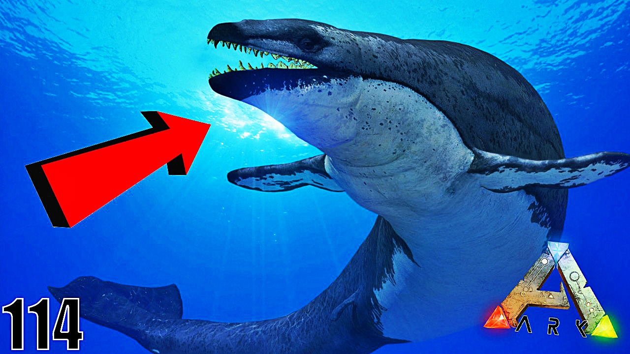 fright night JE CAPTURE UNE MAGNIFIQUE BALEINE ! | ARK: Survival Evolved ! #Ep114