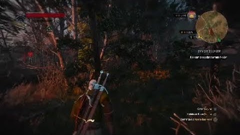 The witcher Glitch versao 1.50  [1.51]