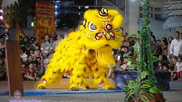 Múa Lân Địa Bửu 2020 đoàn LSR Phước Nghĩa Đường tại Liên hoan Lân Sư Rồng Vũng Tàu