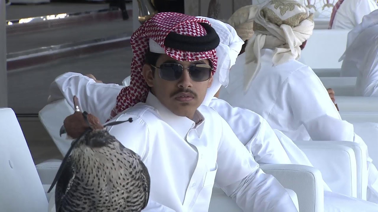 كأس رئيس الدوله للصيد بالصقور الموسم 10: أشواط فئة الشيوخ و فئة العامة (الهواة) - اليوم الثاني