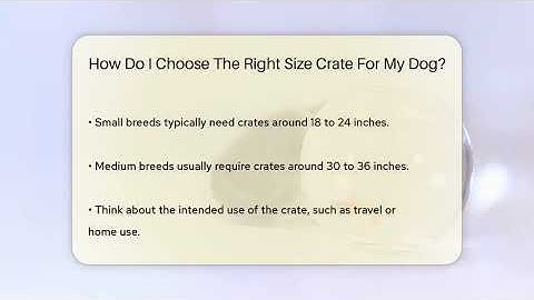 How Do I Choose The Right Size Crate For My Dog? - PetGuide360.com