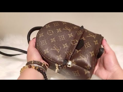 Louis Vuitton 'New' Palm Springs Mini - BAGAHOLICBOY