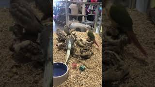 Pets R Us  Omaha Nebraska