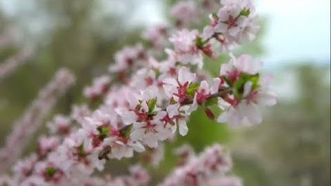 اجمل تلاوه تريح القلب تجعلك تبكي للشيخ محمد اللحيدان