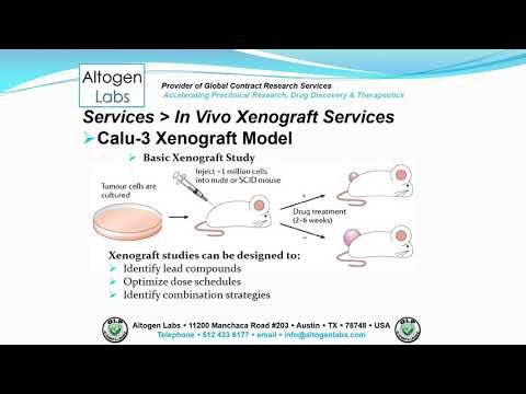 Altogen Labs Calu-3 Xenograft Service Lung Cancer