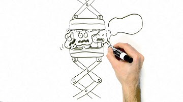 What is High Pressure Processing (Spanish), revised