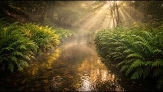 Serene River Harmony & Gentle Music for Productivity, Rest & Emotional Healing 🌊✨🎶