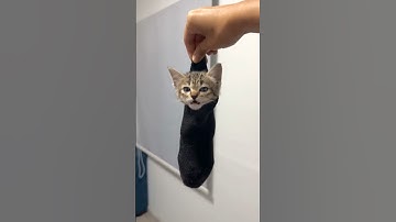 Cameraman Definitely Didn