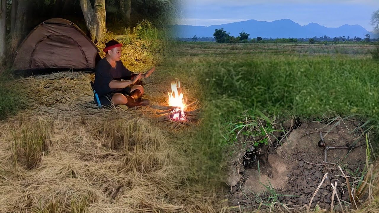 ค้างคืนนอนนาออกหาหนูหมายนี้มันยังมีหนูใหญ่