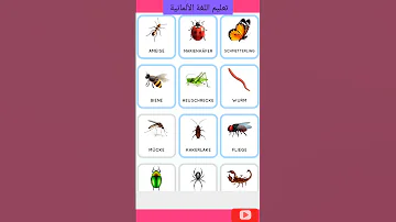 اسماء الحشرات باللغة الألمانية تعليم اللغة الألمانية Motargme123 اللغةالالمانية تعليم اكسبلور 