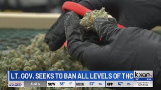 Texas Senate to pursue ban on THC products next year, Lt. Gov. Dan Patrick says