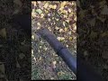 No more bending over again and again with a broom | PROYAMA 26cc leaf blower #proyama#leafblower