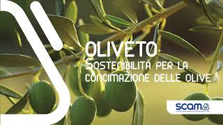 Concime Per Olivo SCAM 25kg | NPK Con Boro, Ferro, Zinco - Foto 4