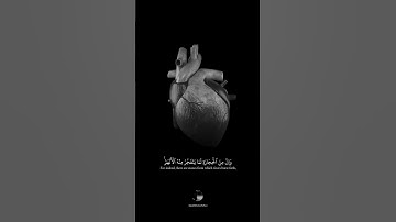 { ثُمَّ قَسَتۡ قُلُوبُكُم مِّنۢ بَعۡدِ ذَٰلِكَ فَهِيَ كَٱلۡحِجَارَةِ } بصوت القارئ مشاري العفاسي