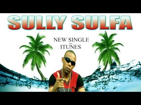 Sully Sulfa - Fallow Fashing Bish (Meezy Diss) [Falla Falla Rididm] October 2014