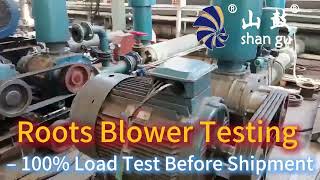 Roots Blower Testing – 100% Load Test Before Shipment