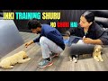 Astonmartin smart trainingbest age for dog trainingsiberianhuskydogtraininggoldenretriever