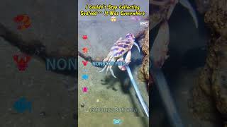 Diving Deep to Catch Seafood – Nature’s Ultimate Challenge! #Diving #Fishing #Crab#sea