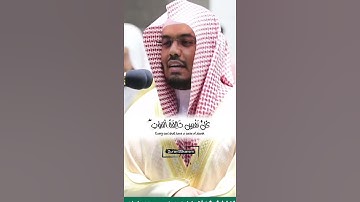 كُلُّ نَفْسٍ ذَائِقَةُ الْمَوْتِ ۖ ثُمَّ إِلَيْنَا تُرْجَعُونَ | تلاوة خاشعة الشيخ ياسر الدوسري