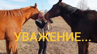 видео: Уважение в руках картинка: Уважение в руках