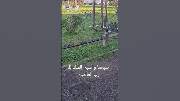 #قرآن #سورة_البقرة #surahalbaqarah #قران_كريم #البقرة #tilawat #اكسبلور #تيك_توك