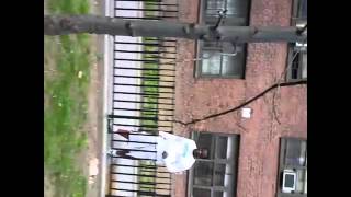 Amazing Pitbull Out In Harlem Nyc Follow Us On Instagram