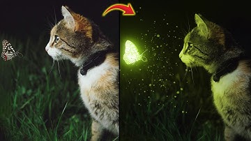 Cat Butterfly Manipulation | Glow Effect | Photoshop Tutorial