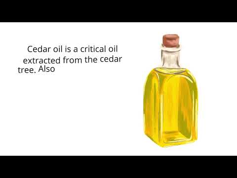 How To Make Oil From Cedar Mulch – Detailed Guide