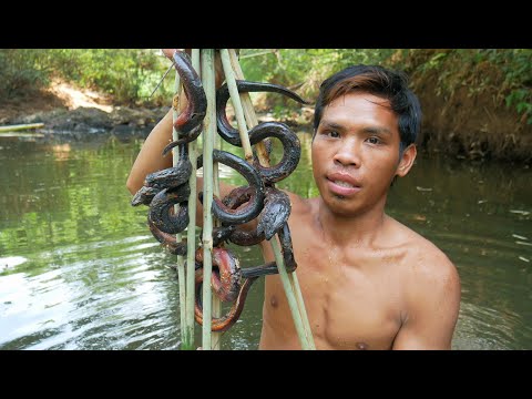 Vídeo: Com Cuinar L’anguila