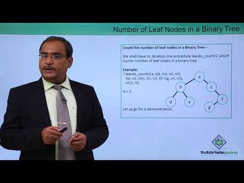 Artificial Intelligence - Counting Number of Leaf Nodes in Binary Tree